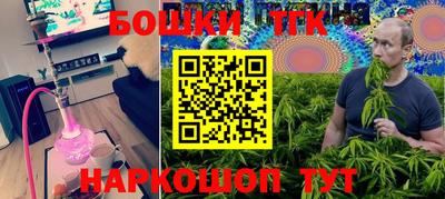прущие грибы Лесосибирск