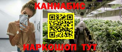 прущие грибы Лесосибирск
