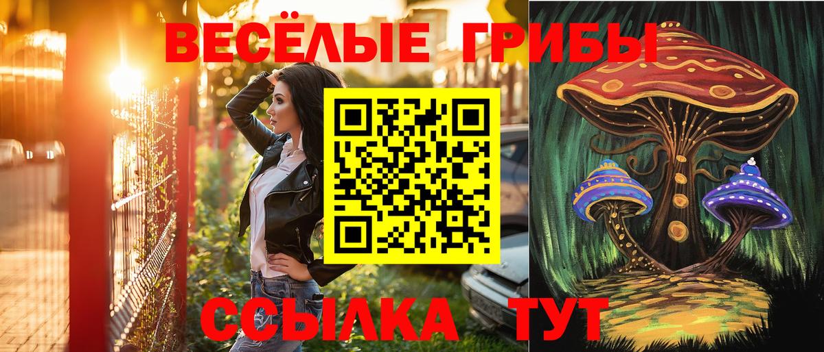 Галлюциногенные грибы Psilocybine cubensis  Вход с VPN  Десногорск  Псилоцибиновые грибы Magic Shrooms 